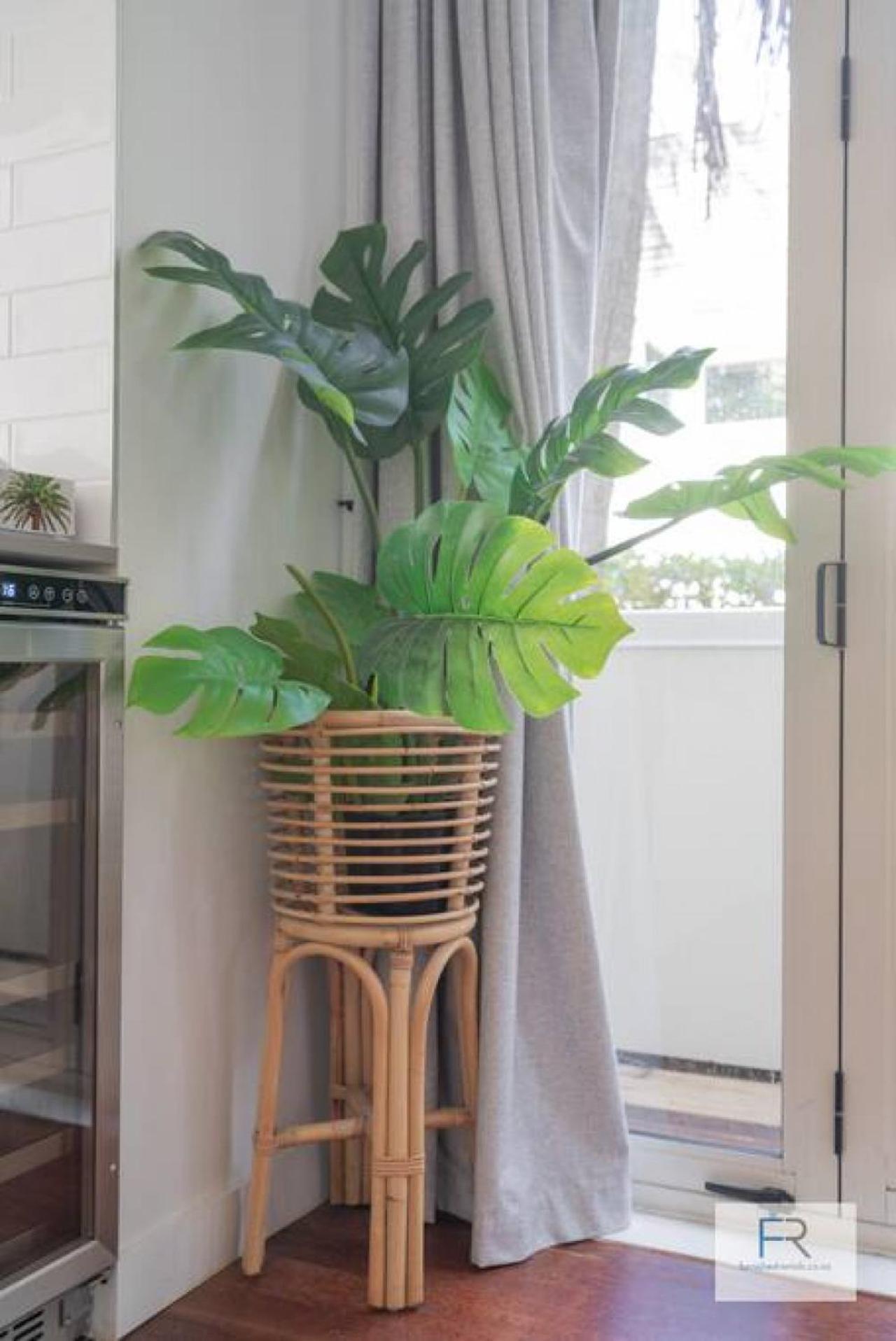 فيلا Chic Parnell Townhouse أوكلاند المظهر الخارجي الصورة
